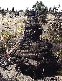 Photo of casts of tree trunks that had been caught in the lava flow.